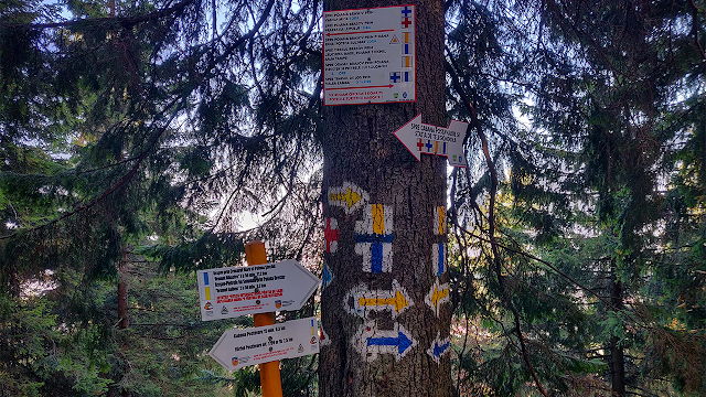 Tipuri de marcaje utilizate pentru traseele montane și semnificațiile lor