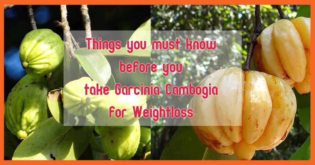 things-you-must-know-before-you-take-Garcinia-Cambogia-for-Weight-loss