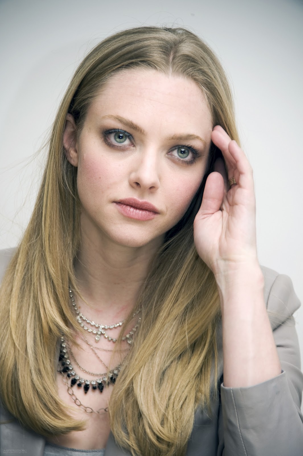 You Haven't Seen The Last Of Me: Amanda Seyfried -Gone Press Conference