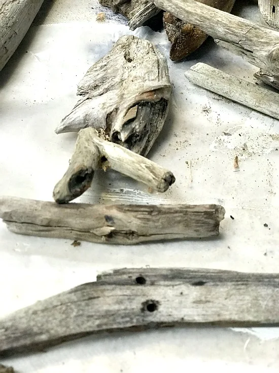 Driftwood fish head for wind chimes