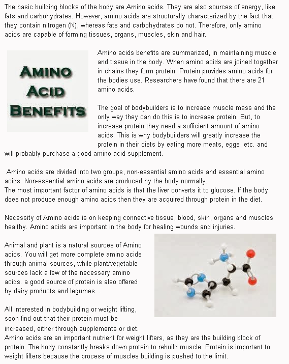 The Bodybuilder Amino Acids Benefits What Role In Bodybuilding Images, Photos, Reviews