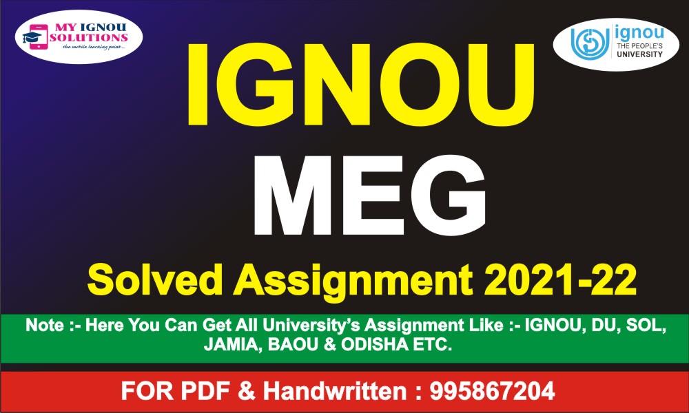 meg assignment submission date