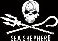 SEA SHEPHERD