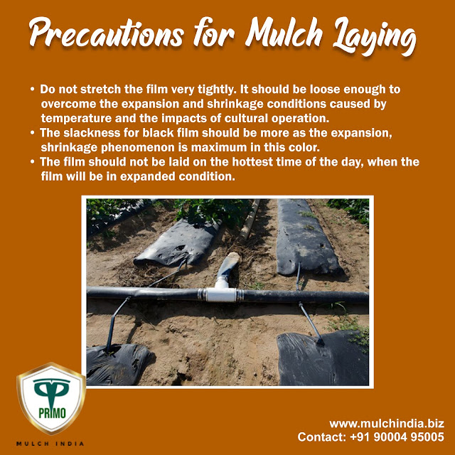 MulchIndia Precautions of mulch laying Mulch India Call+𝟵𝟭