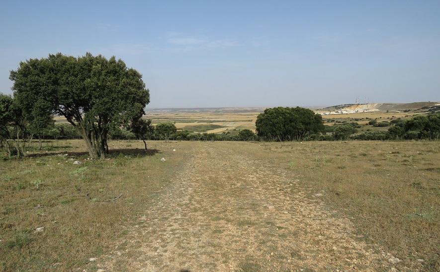 Sendas de Burgos Sierra de Atapuerca desde Olmos de Atapuerca
