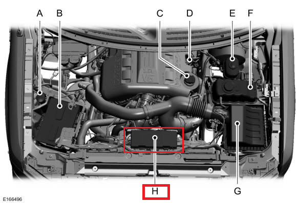 Fuse Box: August 2019