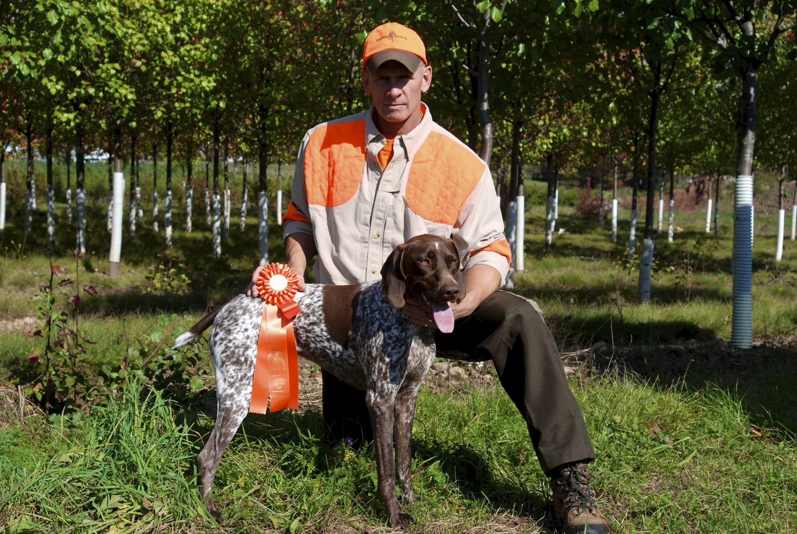 Adventures of a GSP Hunting Dog The Sweet Taste of Success Senior AKC