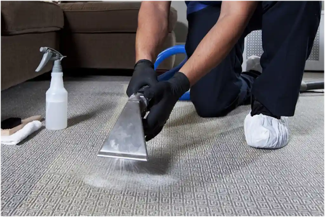 Best Carpet Cleaner to Hire Best Carpet Cleaner to Hire