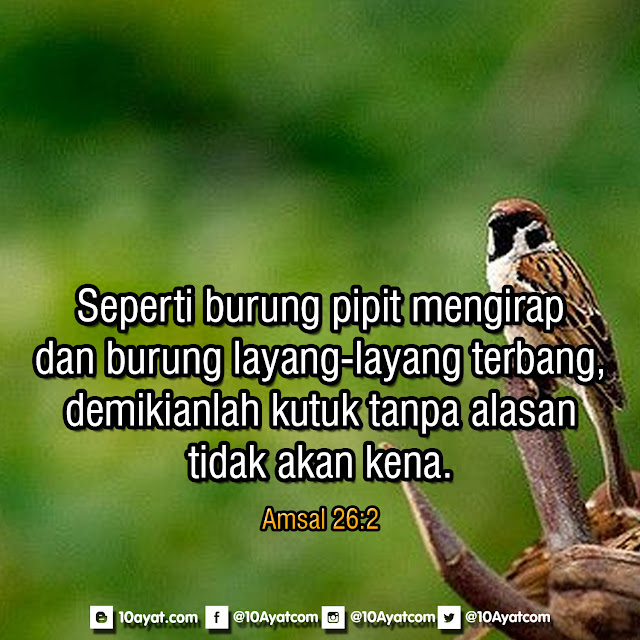Amsal%2B26 2