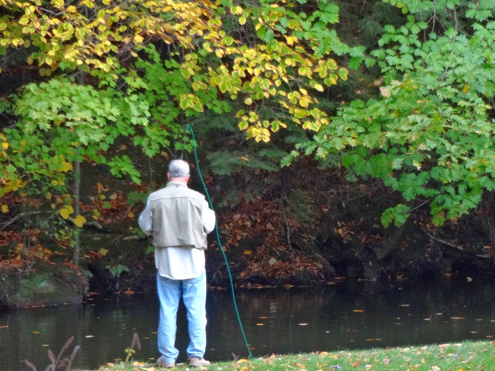 Nuts From the Family Tree Cleveland The Trout Club