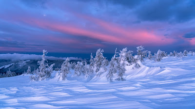 Winter Wallpaper, Landscape, Snow, Trees, Dusk