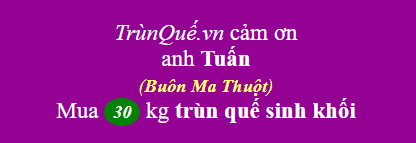 Trùn quế Buôn Ma Thuột