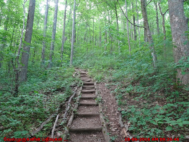 Appalachian Trail Georgia To Maine