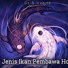 5 Jenis Ikan Pembawa Hoki 5 Jenis Ikan Pembawa Hoki
