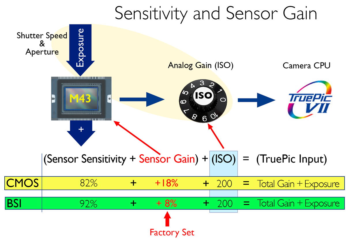 VideoPic Blog Camera Technique