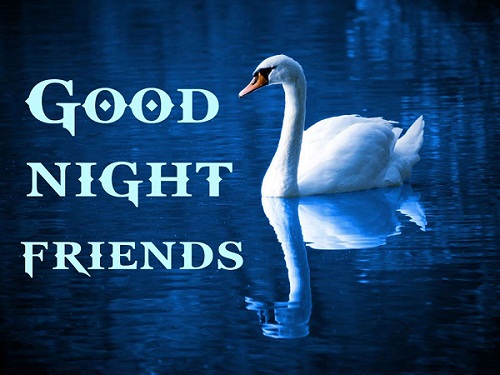 download 49 good night friends images pictures photos wallpapers