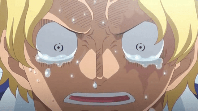 10 Fakta Sabo, Sosok Pengganti Ace di One Piece Sabo pertama kali diperlihatkan dikala dirinya masih kecil 10 Fakta Sabo, Sosok Pengganti Ace di One Piece