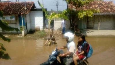 Geram Tak Juga Mendapatkan Perhatian Pemerintah Kota, Warga Nekat Tanam Pohon Disepanjang Jalan