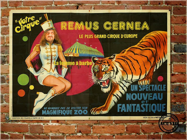 Poster funny Circul Remus Cernea