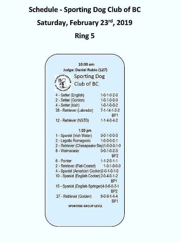 ' BOSS ' BIS MRBIS MBISS AM GCH CAN GCHS ROSEWINS LEGACY IN TIME BOSS wins Sporting Dog