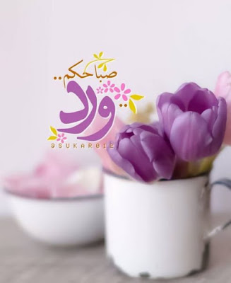 صور صباح الورد - صور صباحية 2020 صور صباح الورد - صور صباحية 2020