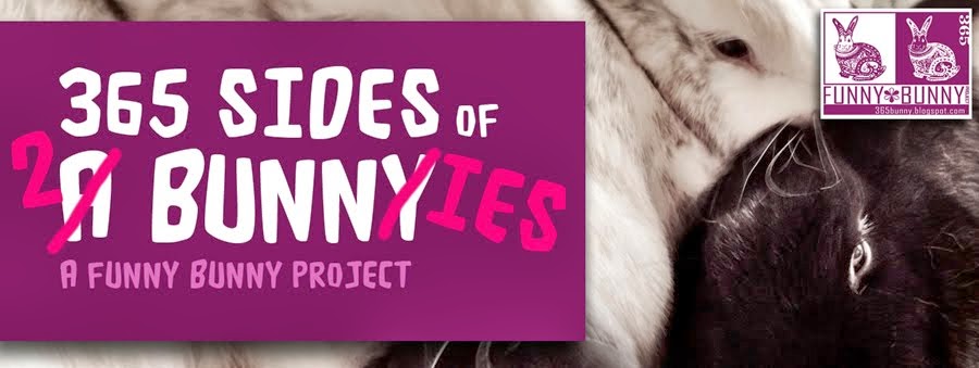 365 Sides of 3 Bunnies: A Funny Bunny Project