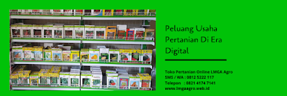 berkebun di rumah, sayuran, menanam buah, manfaat sayuran, usaha sampingan, jual benih hibrida, toko pertanian, toko online, lmga agro