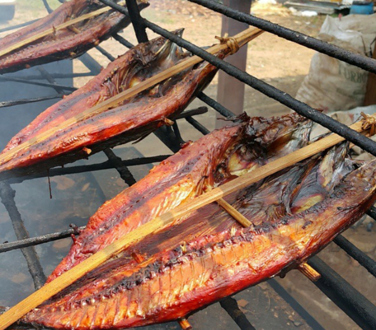 makanan khas manado cakalang fufu