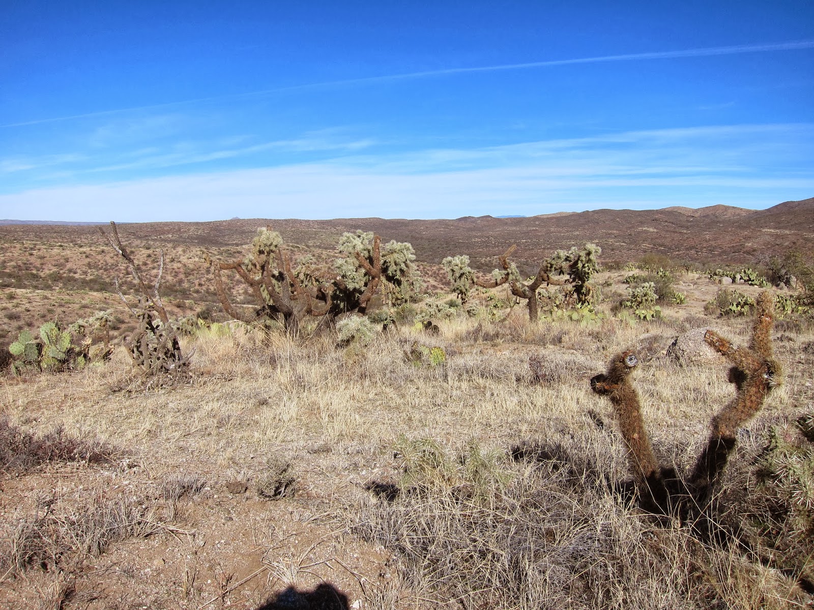Bikepacking/Mountain biking Arizona Trail Passage 14 Tiger Mine