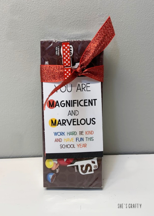 Back to School Encouragement Treat Ideas - gift ideas for M and M's