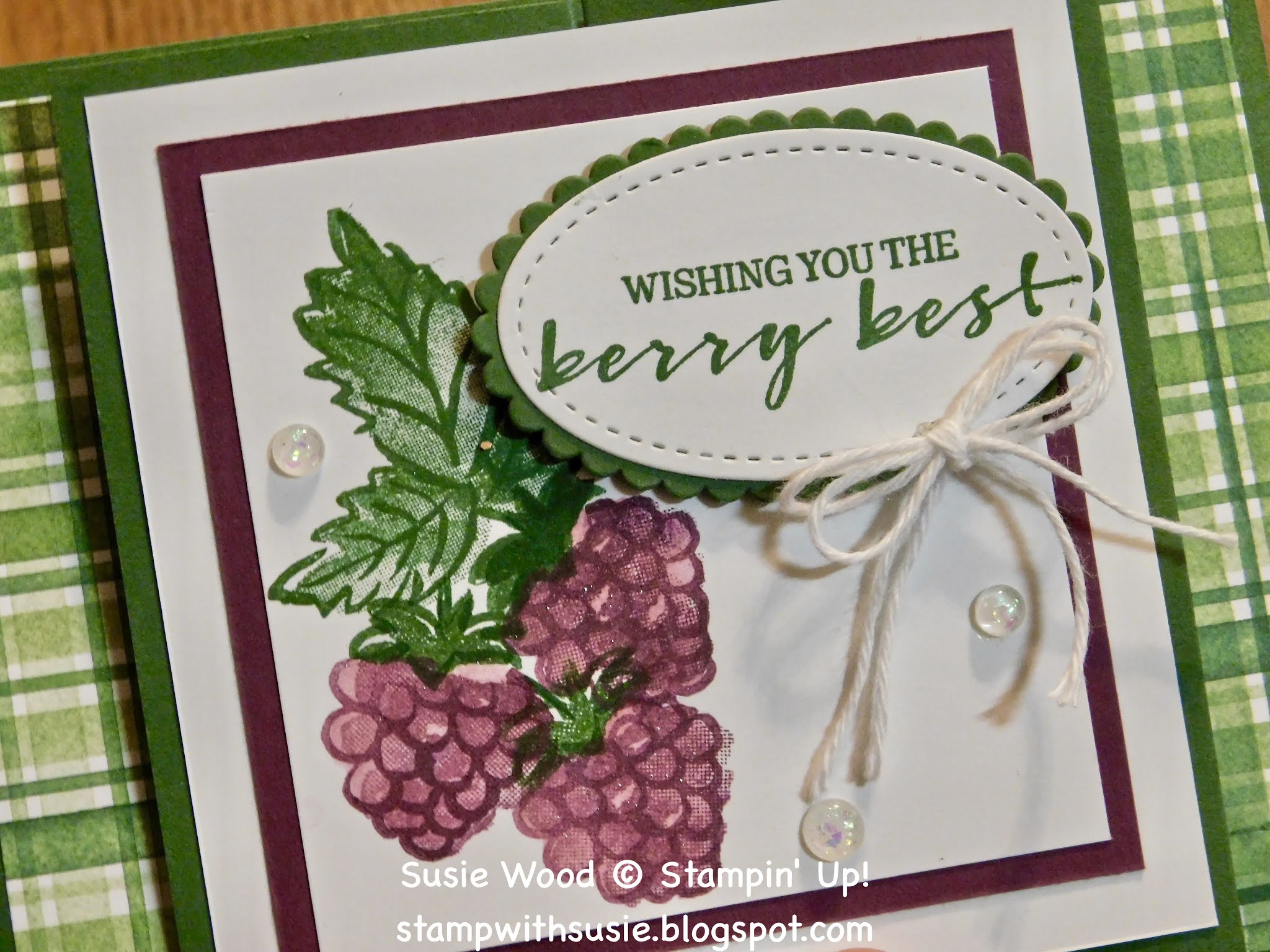 Stamp with Susie Stampin' Up! Berry Blessings fun fold