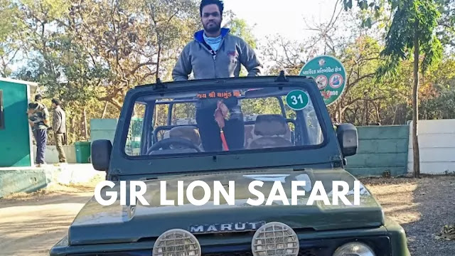 Gir Lion Safari