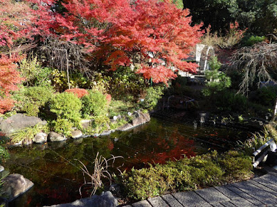 野崎観音・慈眼寺（じげんじ）の紅葉　池