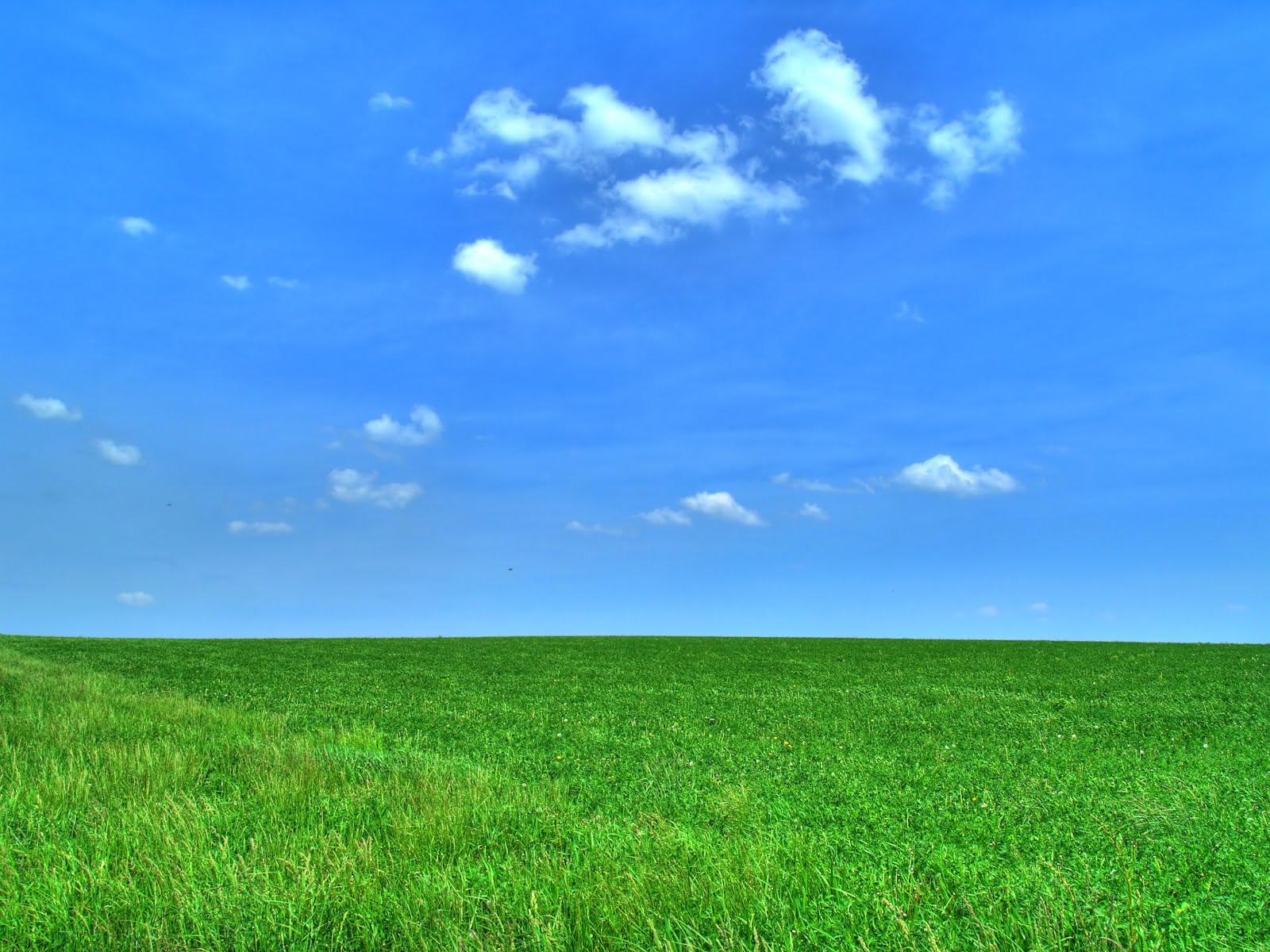 Surtido de Imágenes Gratuitas: Antes iba al campo a respirar aire puro ...