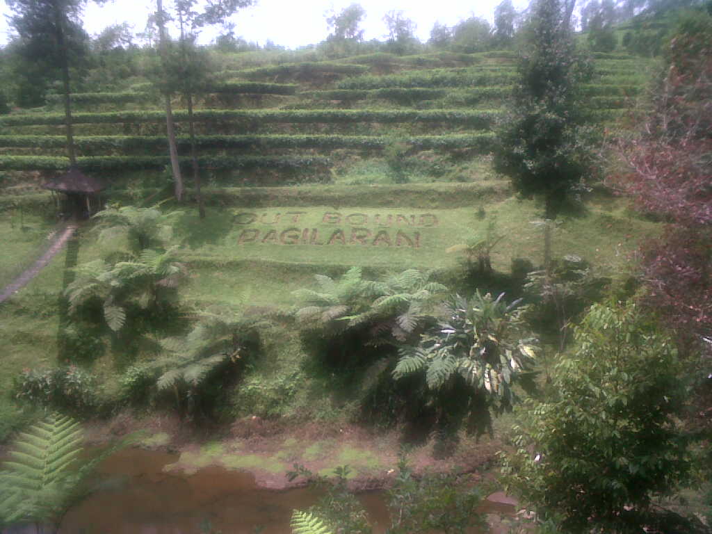 Kebun Teh Pagilaran - Your Traveling bae