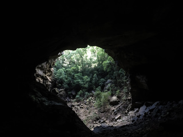 ankarana national park bat cave