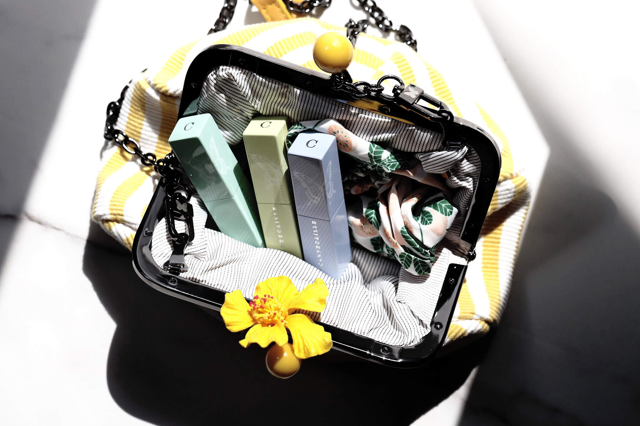 Lip Chic Que Vaut Le Gloss en Stick de Chantecaille ? kleo beauté