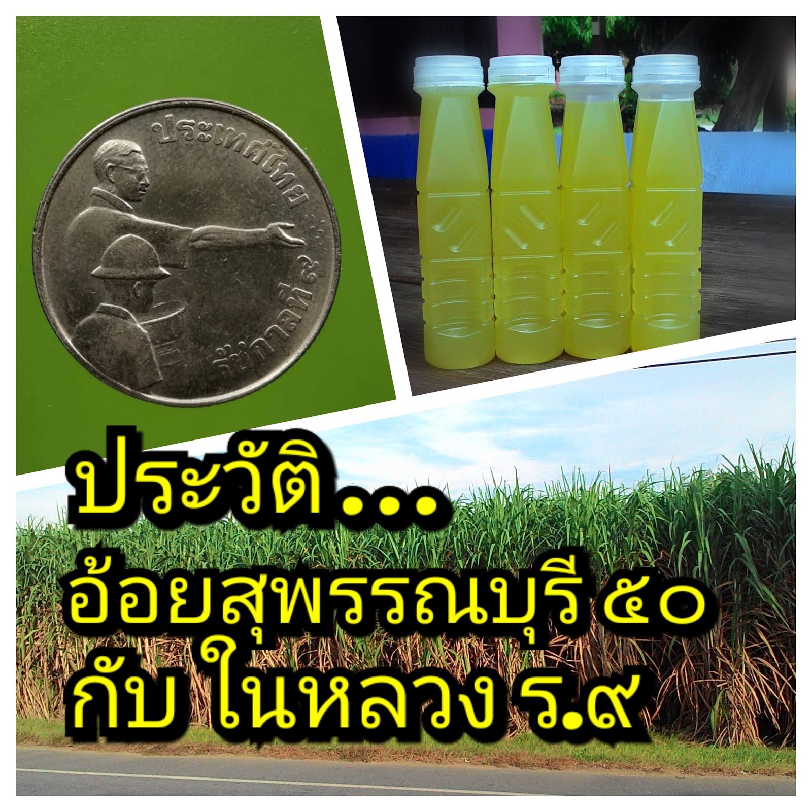 ขายเครื่องคั้นน้ำอ้อยไฟฟ้าแบบตั้งโต๊ะ: อ้อยสุพรรณบุรี 50 กับในหลวง ร. 9 ขายเครื่องคั้นน้ำอ้อยไฟฟ้าแบบตั้งโต๊ะ: อ้อยสุพรรณบุรี 50 กับในหลวง ร. 9