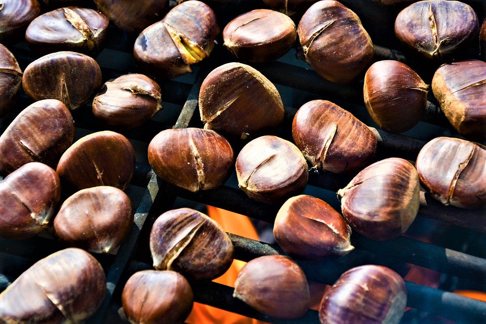 Fieggentrio: Voor iemand de kastanjes uit het vuur halen