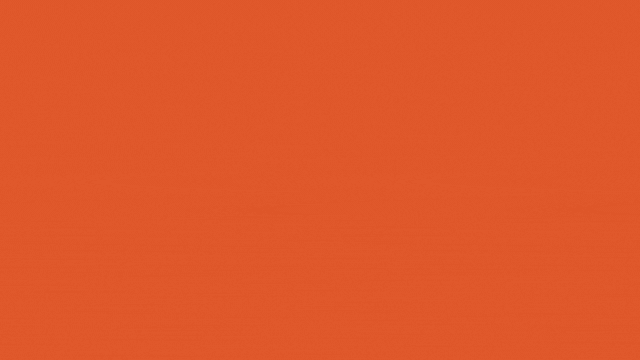 The Agency Relationship | Agency Problem: Shareholders vs Managers vs Creditors