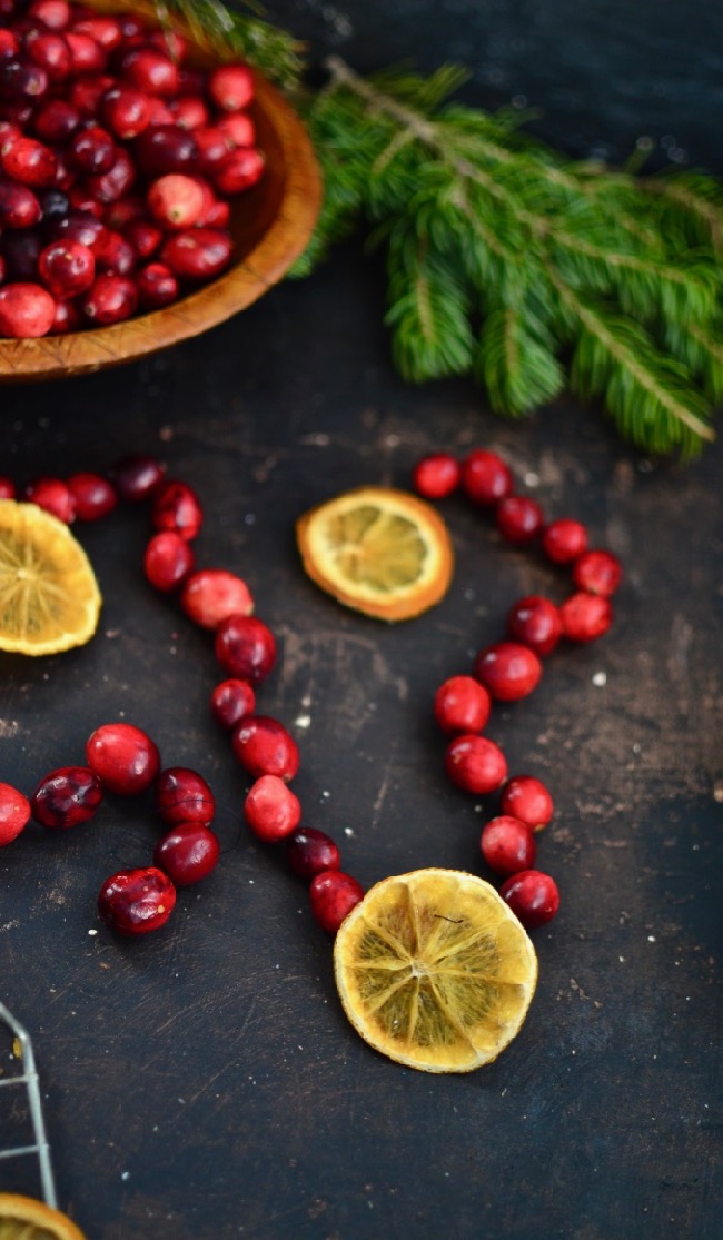 Yammie's Noshery: How to Make Dried Orange and Cranberry Garland