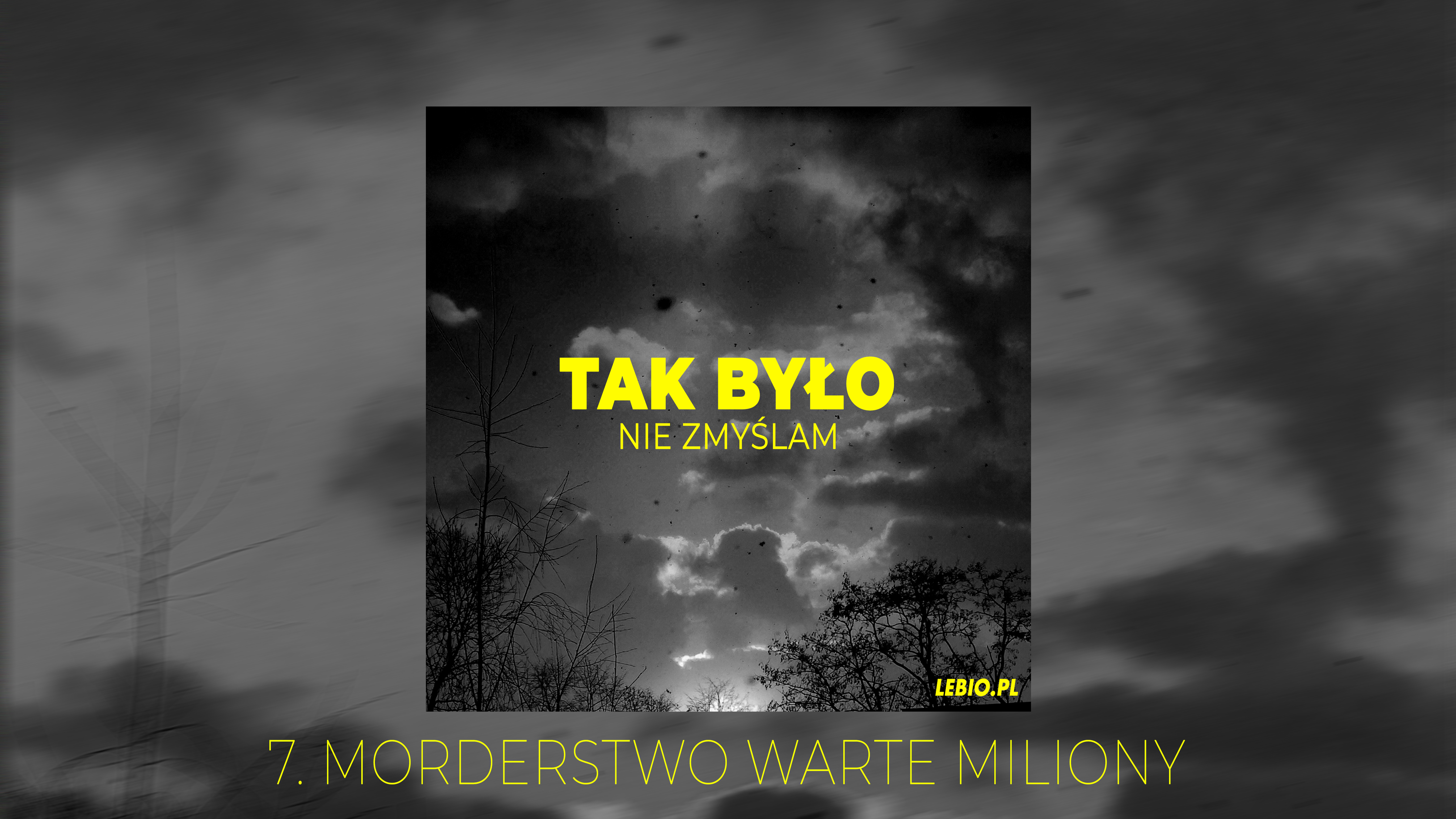 Morderstwo warte miliony - Tak było, nie zmyślam - #7 