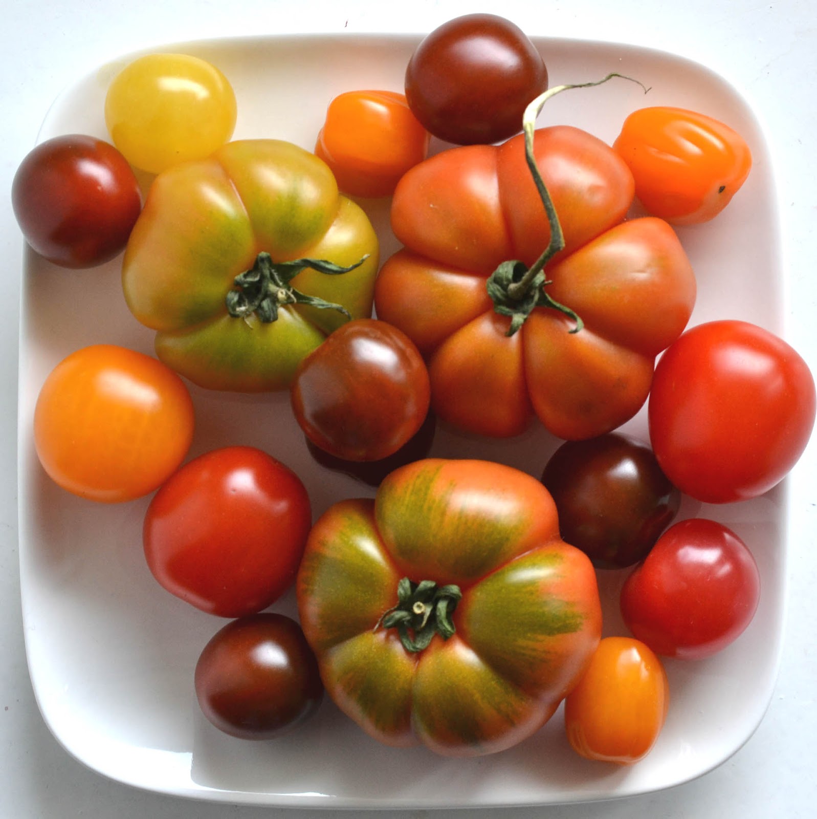 Italienischer Blattsalat Mit Bunten Tomaten Und Mozzarella — Rezepte Suchen