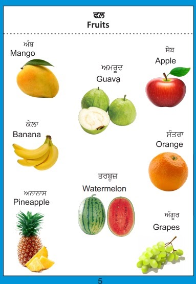 Pre-Primary Preschool: ਫਲ਼/Fruits