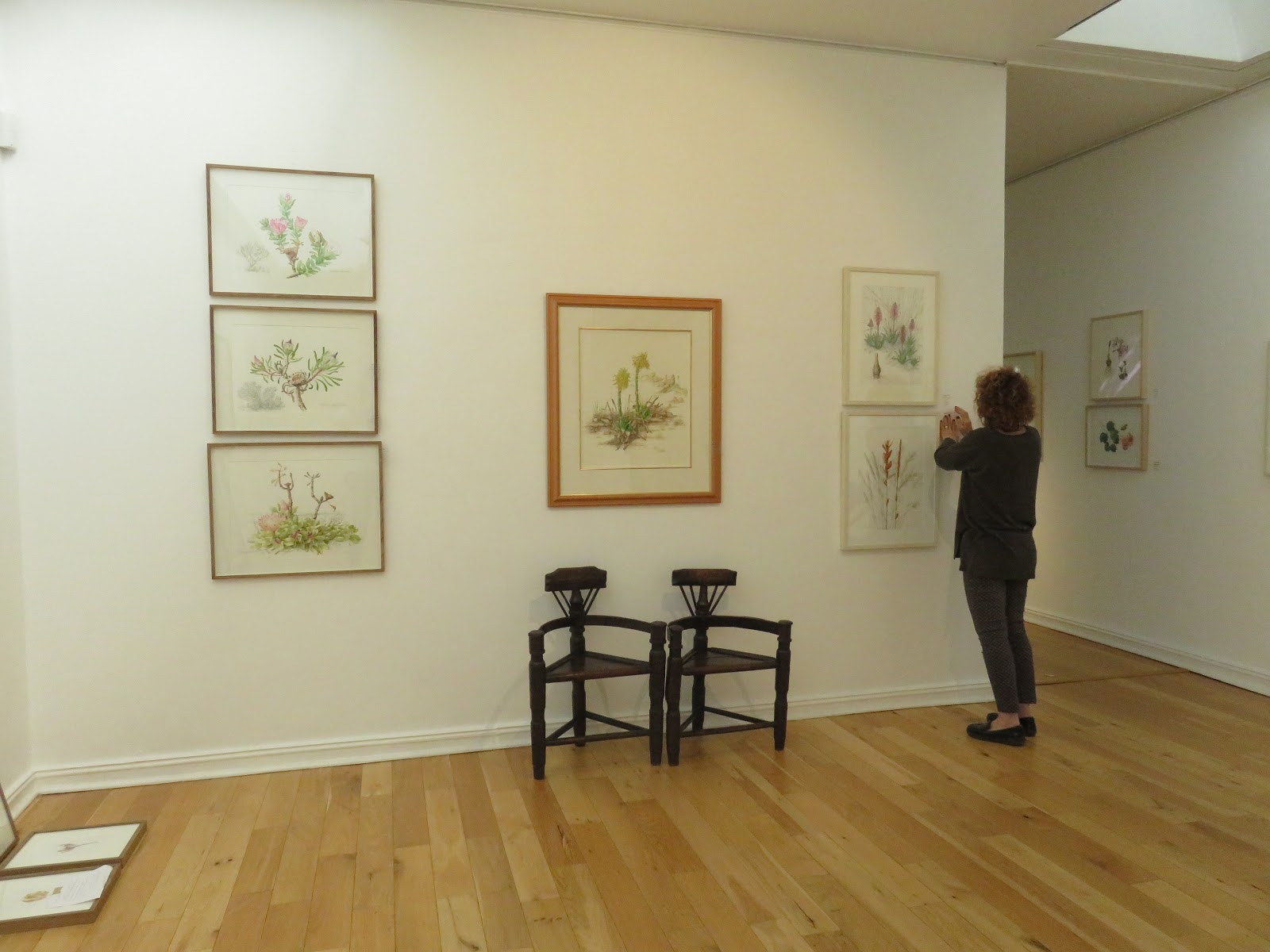 Botanical Artists Association of Southern Africa