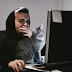 Coronavirus pandemic might encourage cat owners to spend more time with their cats