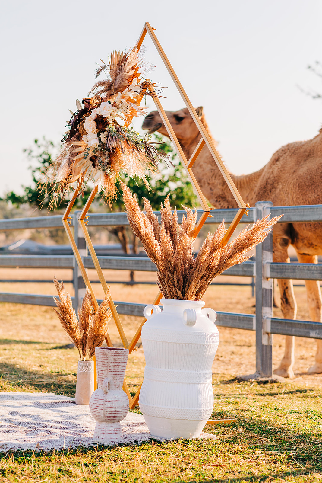 to the aisle australia | champagne at sunrise summer land camels shoot