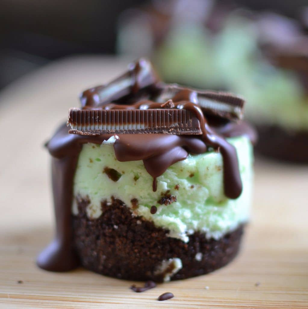 ANDES MINT MINI CHEESECAKES NEWS RECIPES