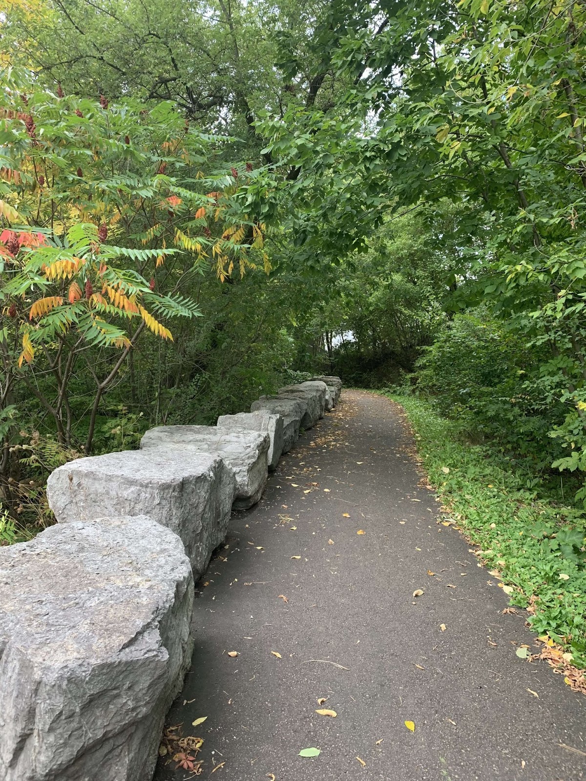 Pansy Patch Park in Pembroke, Ontario Filipino Parenting