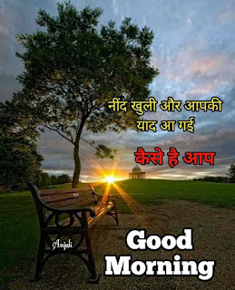 200+ Good Morning Quotes in Hindi, Best Good morning sms in Hindi 2020 200+ Good Morning Quotes in Hindi, Best Good morning sms in Hindi 2020